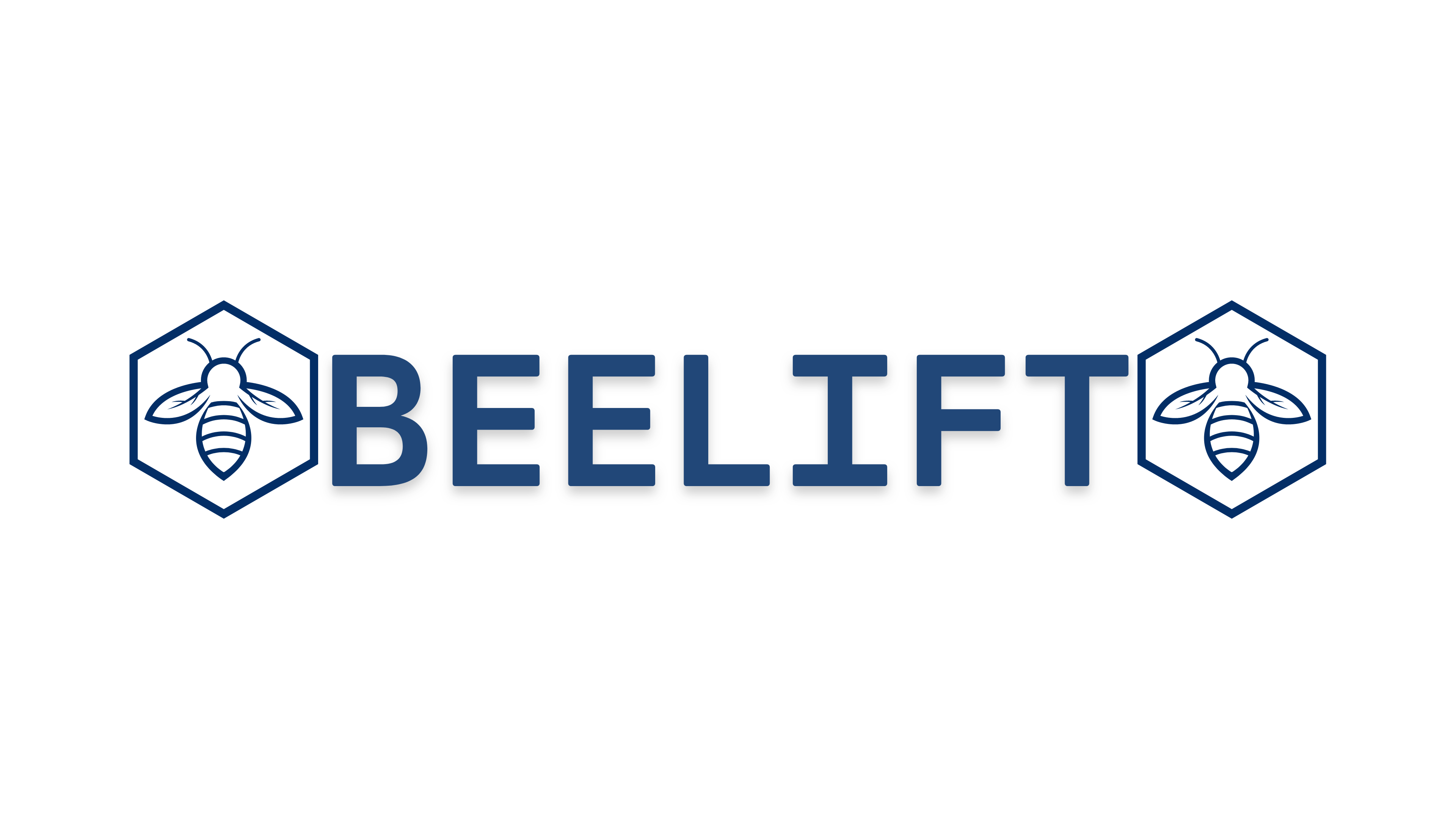 https://beelift.ru/